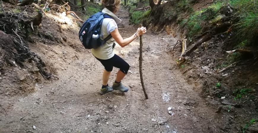 Linksaussen geht einen steilen Weg 